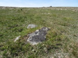Click for full size image of Leeden Tor (PID:197687) Leeden Tor
