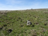 Click for full size image of Leeden Tor (PID:197688) Leeden Tor