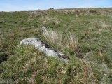 Click for full size image of Leeden Tor (PID:197691) Leeden Tor