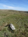 Click for full size image of Leeden Tor (PID:197692) Leeden Tor