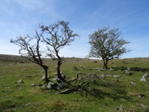 Stanlake Settlement