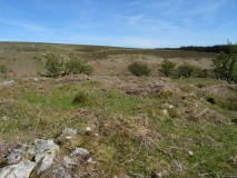 Stanlake Settlement