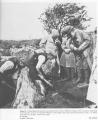 Click for full size image of Metherall Settlement (PID:130522) Metherall Settlement