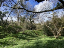Mincimore Copse Tumulus - PID:271266