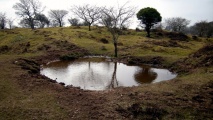 Roborough Down Earthworks