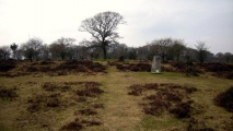 Roborough Down Earthworks