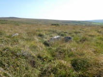 Bellever Tor 6