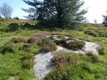 Click for full size image of Bellever Tor 2 (PID:217783) Bellever Tor 2