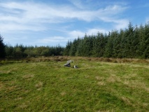 Lakehead Hill Cairn 7