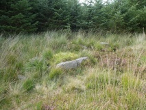 Lakehead Hill 2