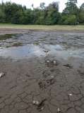 Tottiford Reservoir Row N