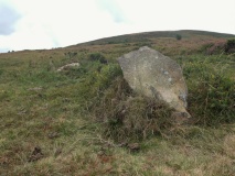 Trendlebere Down