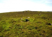 Cosdon Hill Summit Cairns
