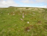 Click for full size image of Hart Tor south row (PID:7779) Hart Tor south row