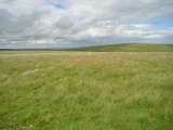 Click for full size image of Butterdon Stone Circle (PID:8452) Butterdon Stone Circle