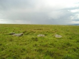 Click for full size image of Butterdon Stone Circle (PID:8454) Butterdon Stone Circle