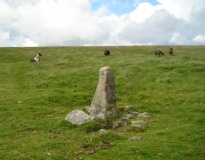 Hobajons Cross