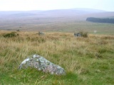 Click for full size image of Shovel Down stone circle (PID:9768) Shovel Down stone circle