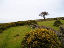 The Round Pound