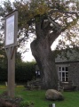 Devil's Stone, Shebbear - PID:25723