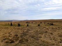 White Moor Down