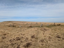 White Moor Down