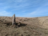 Click for full size image of White Moor Stone (PID:289292) White Moor Stone
