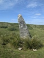 Harbourne Head Standing Stone - PID:292232