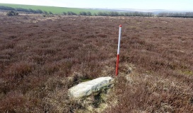 Porlock Common North East