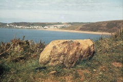 Baggy Point erratic