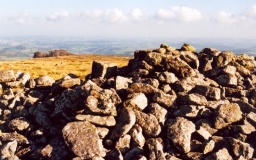 Rippon Tor