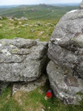 Rippon Tor
