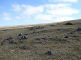 Roos Tor north west - PID:131113