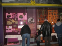 Royal Albert Memorial Museum