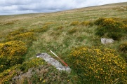 Shell Top South-West stone row