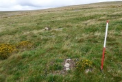 Shell Top South-West stone row