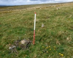 Shell Top South-West stone row