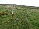 Shell Top South-West stone row