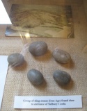 Sidmouth Museum