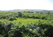 Click for full size image of Smallacombe Rocks Settlement (PID:91763) Smallacombe Rocks Settlement
