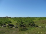 Click for full size image of Smallacombe Rocks Settlement (PID:91767) Smallacombe Rocks Settlement