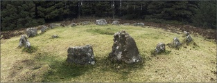 Soussons Common - PID:24395