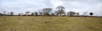 Roborough Down Earthworks