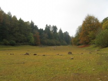 Tottiford Reservoir