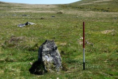 Little Links Tor