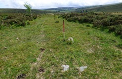 White Ridge stone row