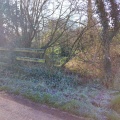 Holy Well (Broadclyst) - PID:236810