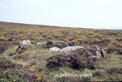 Click for full size image of Money Pit cairn (PID:4265) Money Pit cairn