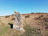 Click for full size image of Butterdon Down West (PID:193997) Butterdon Down West