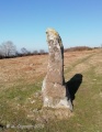 Click for full size image of Butterdon Down West (PID:193996) Butterdon Down West